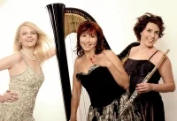 Musica Dolce Vita 2